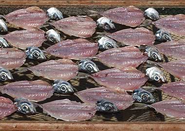 Dry fish in Nazare 01