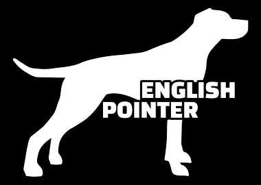 English Pointer