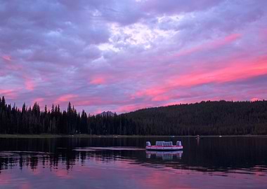 Image Picture Nature Sc