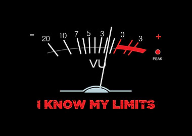 Analog VU Meter Funny