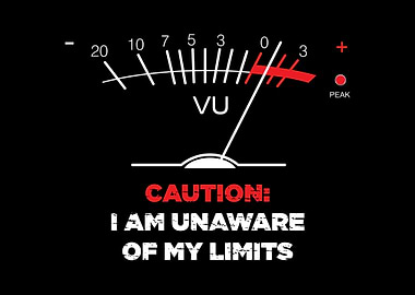 Analog VU Meter Funny