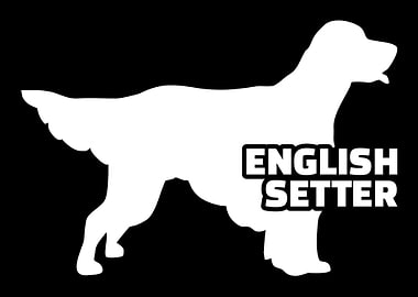 English Setter
