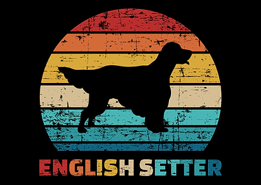 English Setter