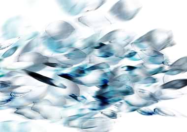 Fish Shoal Illusion 3