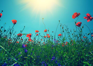 Background Beautiful Beaut