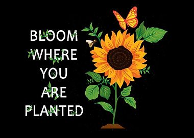 Bloom Where You Are Plante