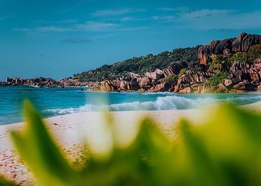 Ocean Waves On Grand Anse