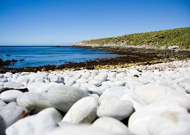 Falkland Islands Rocks Peb