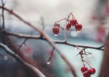 Blue Water Yellow Aqua