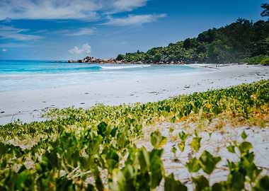 Low Angle Shot Of Remote A