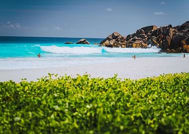 Unrecognizable Tourist Dab