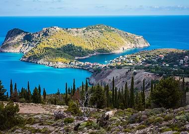 Two Goats Animal Standing