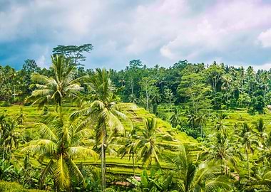Wide Shot Of Amazing Tegal