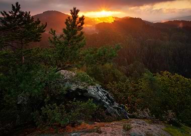 Czech Woodland View Valley