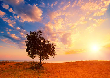 Sea Sunrise Sunset Alon