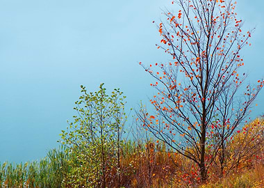Autumn Background Blue Bus