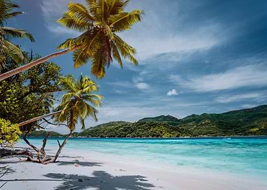 Luxury Vacation On Tropica