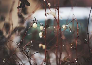 Blue Water Yellow Aqua