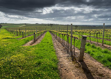 Adelaide Adelaide Hills Ag