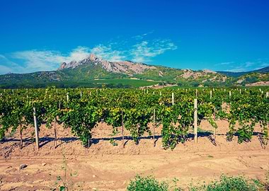 Agriculture Autumn Blue Cl