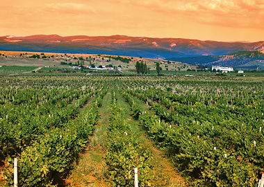 Agriculture Azure Backgrou