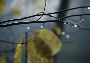 Blue Water Yellow Aqua