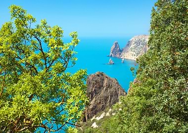 Background Beautiful Calm