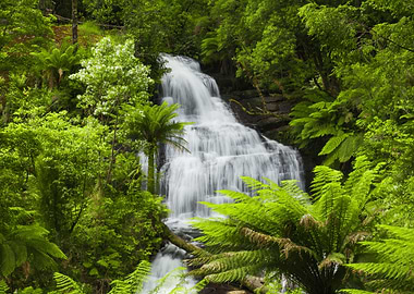 Australia Beauty Clean Cli