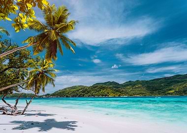 Luxury Vacation On Tropica