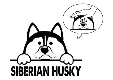 Siberian Husky Dog Owner