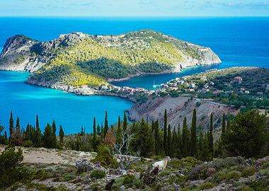 Two Goats Animal Standing