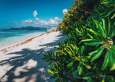 Tropical Plants At Famous