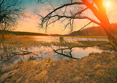 Autumn Background Beam Bea