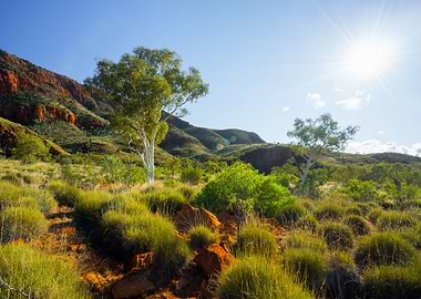 Alice Springs Aussie Austr