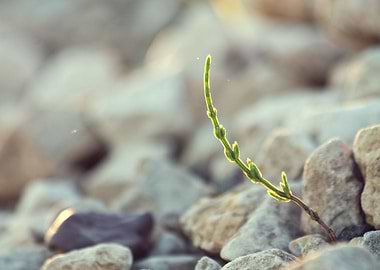 Water Green Detail Idea