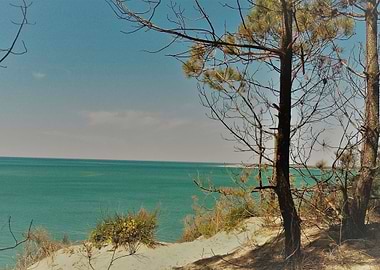 A calm day at the beach