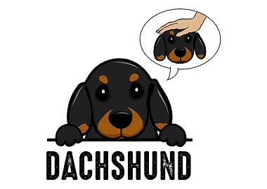 Dachshund Wiener Dog Pup
