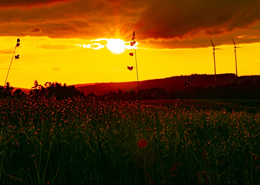 Orange Evening Sunset