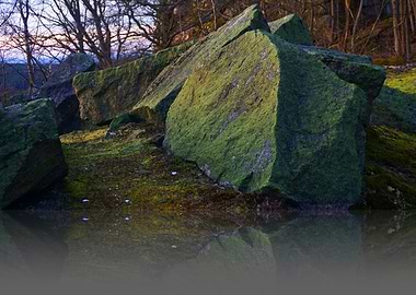 Nature Water Reflektion