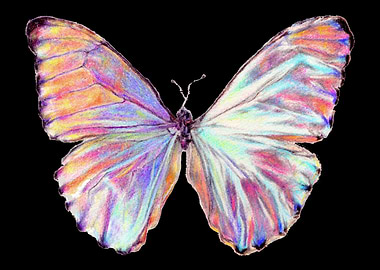 Pink Shiny Butterfly