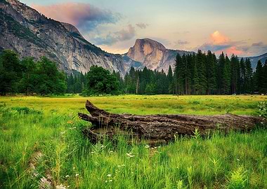 Green Field with Mountain