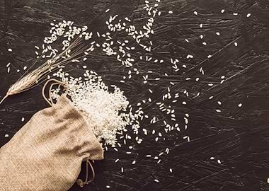 Rice grains in the Bag