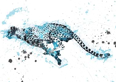 Cheetah running