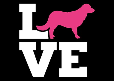 Flat Coated Retriever