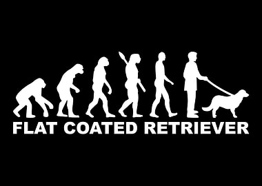 Flat Coated Retriever