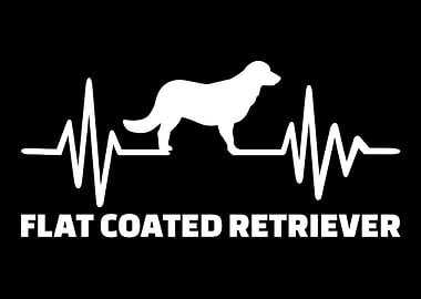 Flat Coated Retriever