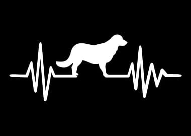 Flat Coated Retriever