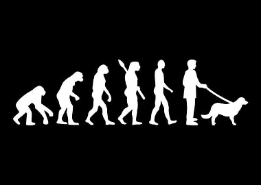 Flat Coated Retriever