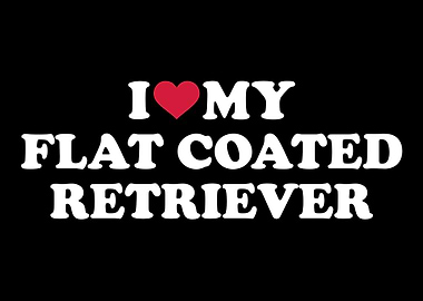 Flat Coated Retriever