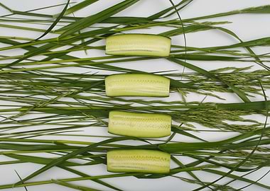 Vegan inspired still life